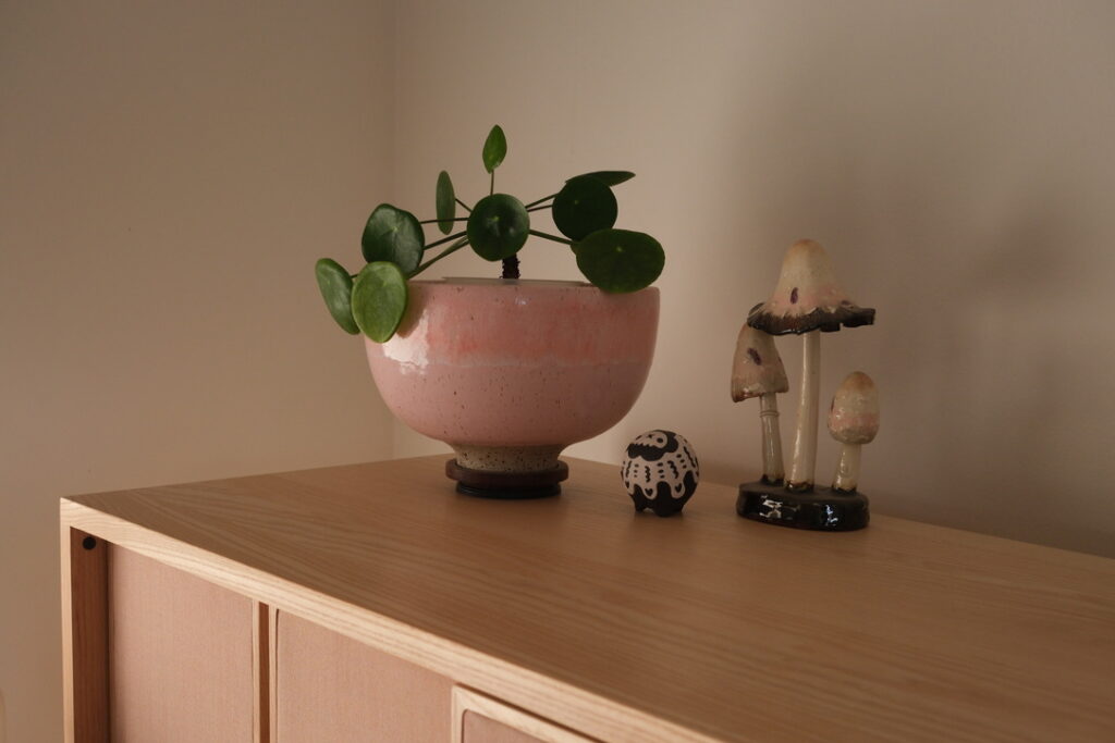 Ceramic bowl and mushrooms